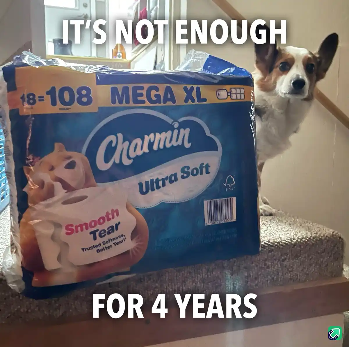 A large package of Charmin Ultra Soft Mega XL toilet paper sits on a carpeted stair step, with a corgi dog peeking over the…