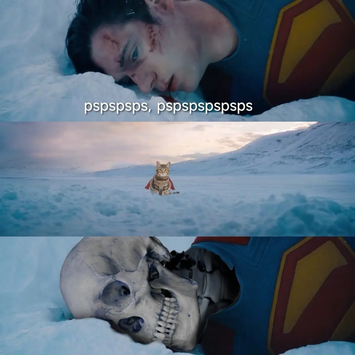 The image is a three-panel meme. The top panel shows a wounded Superman lying in snow with text 'pspspsps, pspspspsps'. The…