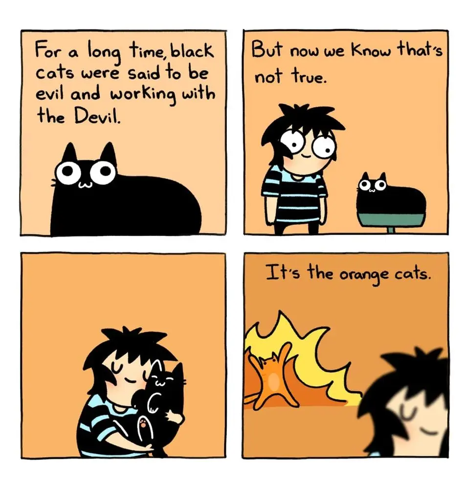 A four-panel comic strip featuring a cartoon boy and black cats. The first panel shows a black cat with text stating black…
