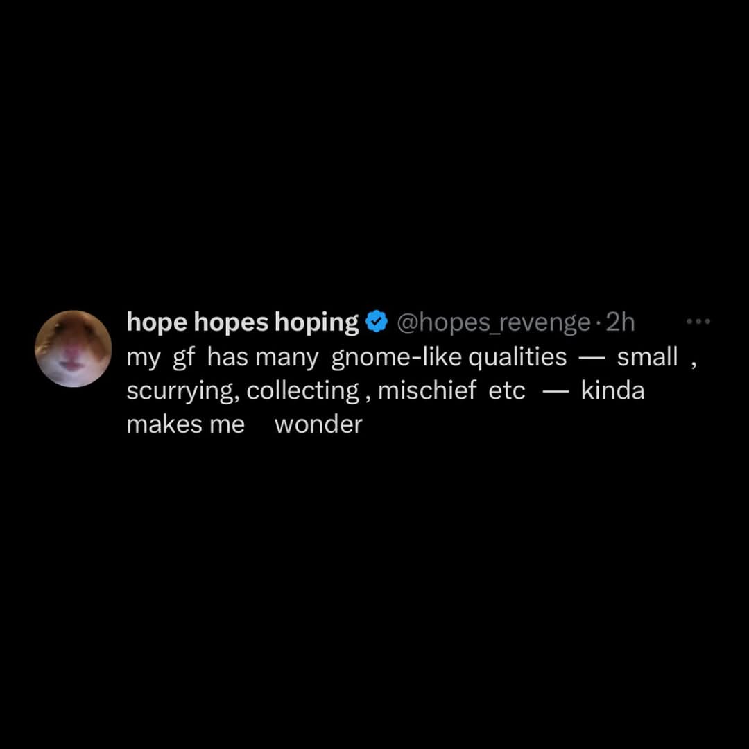 A screenshot of a tweet from user 'hope hopes hoping' with a profile picture of a hamster. The tweet reads: 'my gf has many…