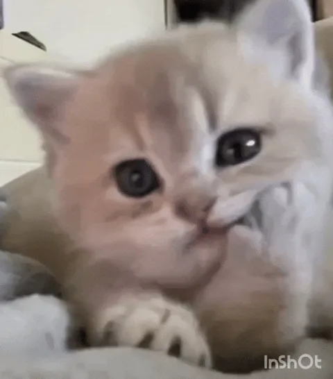 That Moment When Ackshually-Alice Adds 'Just One More Tiny Clarification' in the Meeting