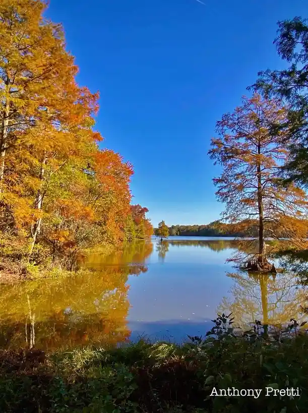 A serene autumn landscape featuring a calm lake reflecting vibrant orange and yellow foliage from surrounding trees under a…