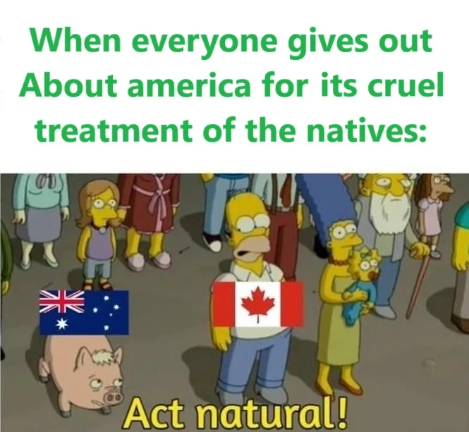 The image shows a scene from The Simpsons with Homer Simpson standing in a crowd, holding a Canadian flag. To his left is a…