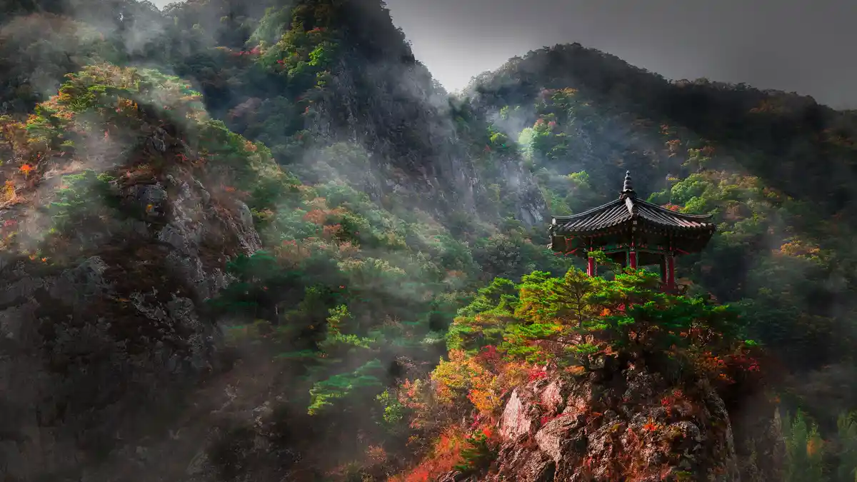 Perched on Wollyubong mountain, a gazebo stands amidst the vibrant autumn colours, its unique design accentuated by fog. The…