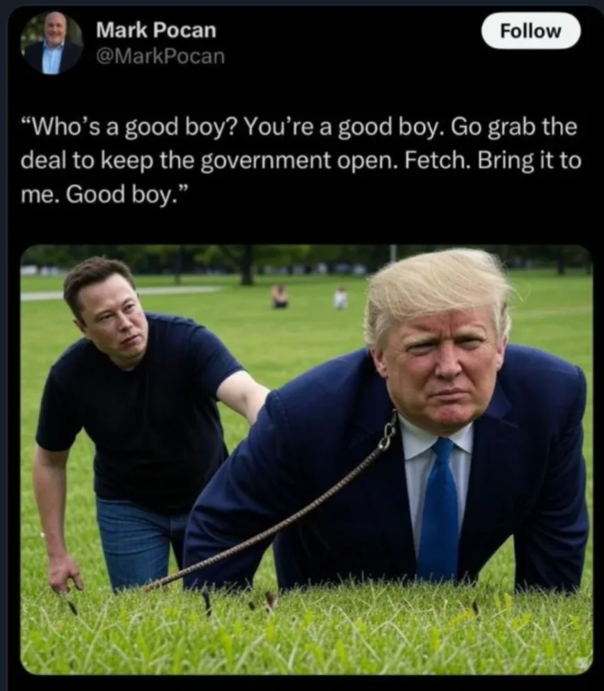 A screenshot of a tweet by Mark Pocan shows a photo of Elon Musk holding a leash attached to Donald Trump, who is on his…