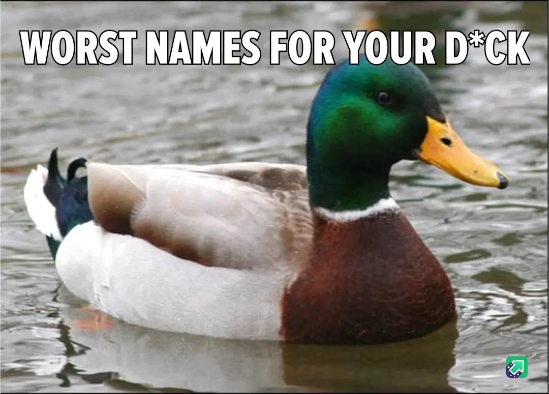 A male mallard duck with a green head, white neck ring, brown chest, and grey body is swimming in murky water. The image has…