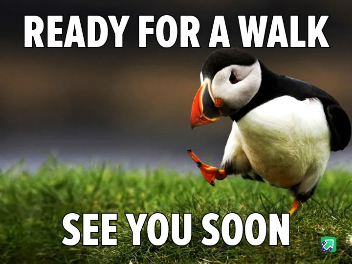 A puffin stands on green grass, one foot lifted as if mid-step, looking forward with a determined expression. The image has…