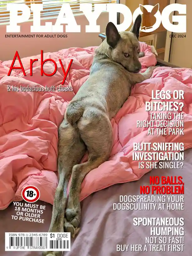 A brown brindle dog named Arby lounges on a pink bedspread, posing with his rear end prominently displayed. The image is…