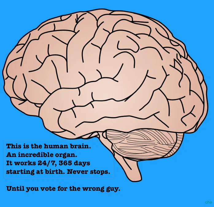 Don't Waste Your Mind's Potential