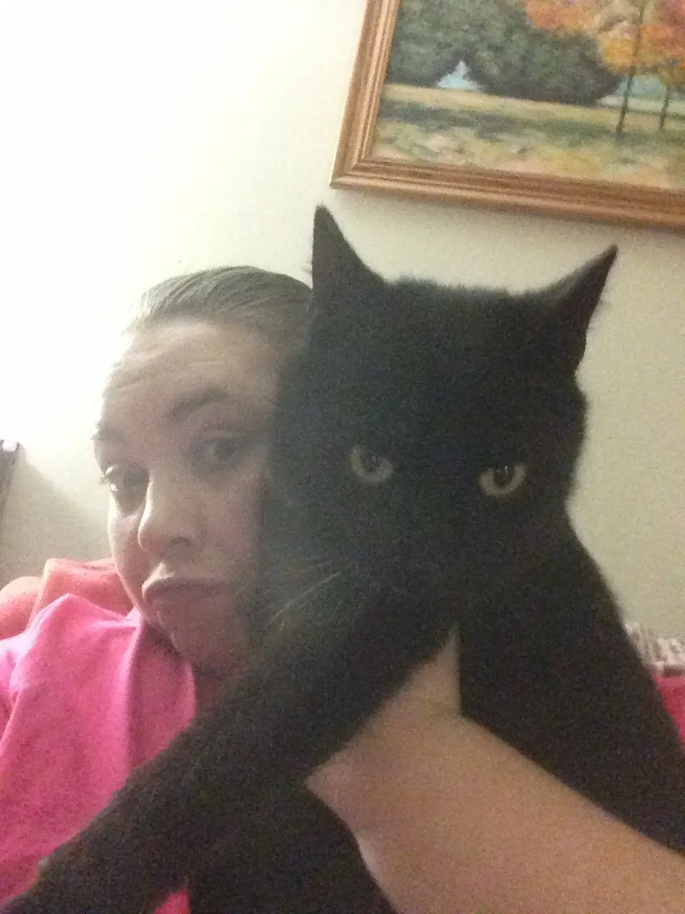 A person in a pink shirt holds a black cat close to the camera, partially obscuring their face. The cat has wide, yellow…