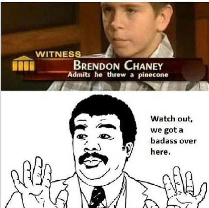 The top panel shows a young boy identified as witness Brendon Chaney admitting he threw a pinecone, with a courtroom-style…