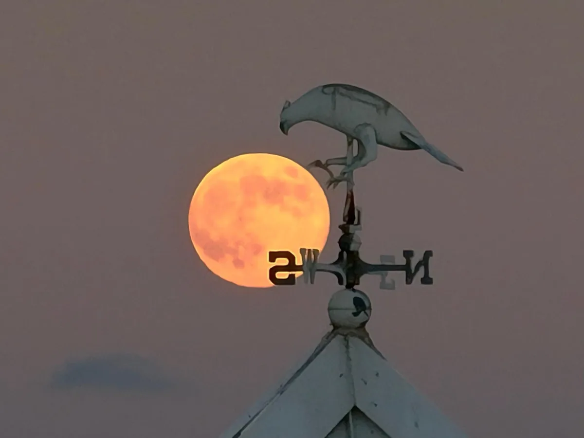 A weather vane shaped like a bird is positioned atop a roof, with a large, orange full moon visible behind it. The bird…