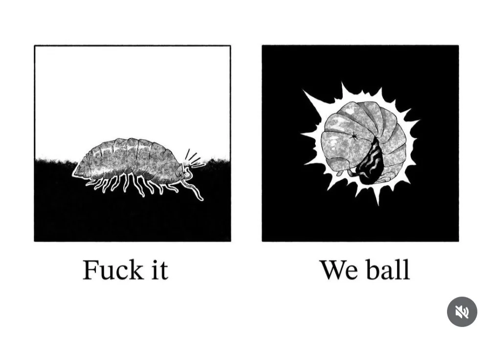 The Epic Comeback of the Meme: Wormhole Pub Edition