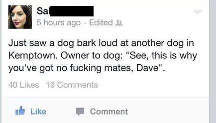 A screenshot of a Facebook post by a user named 'Sal' (with their name partially obscured) shows a comment about a dog…