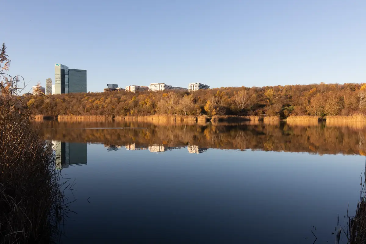 A serene autumn landscape shows a calm lake reflecting a city skyline with modern buildings and trees with orange and brown…