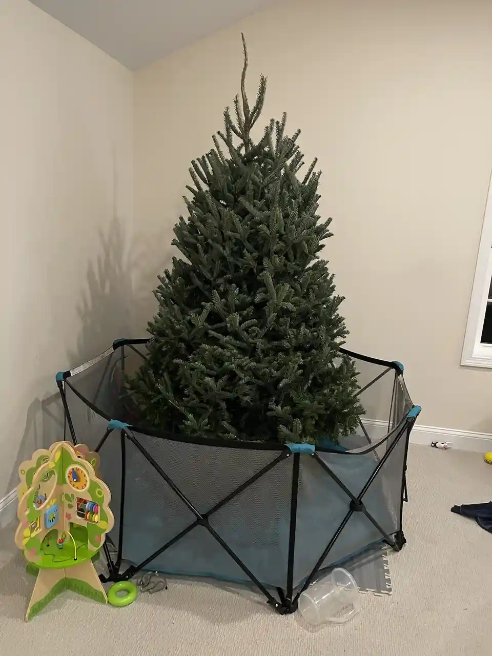 A full-sized artificial christmas tree is standing upright inside a black and blue mesh playpen on a carpeted floor. To the…