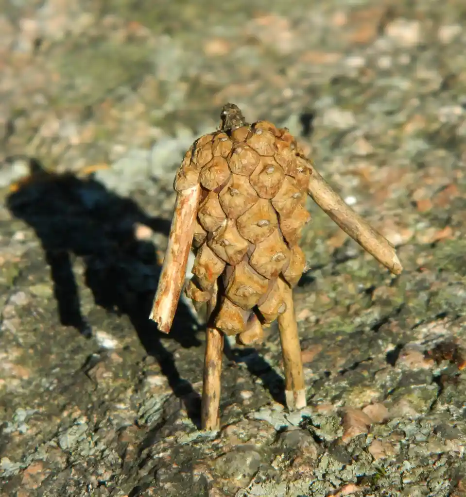 A pinecone has been arranged with sticks to resemble a humanoid figure standing on a rocky surface, with the overlaid text…