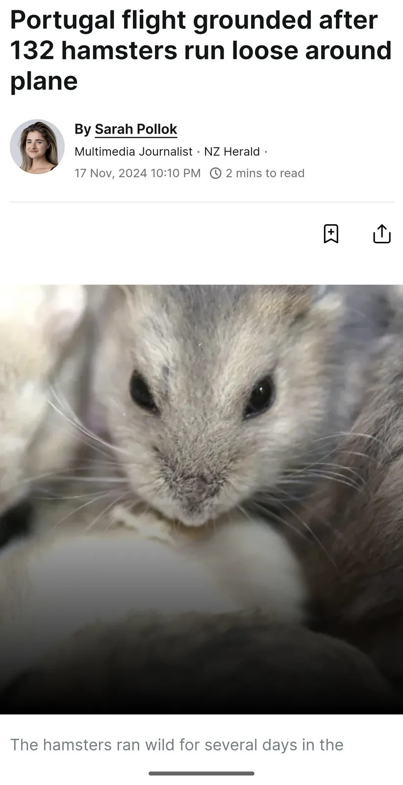 The Epic Journey of the Hamsters Takes Flight