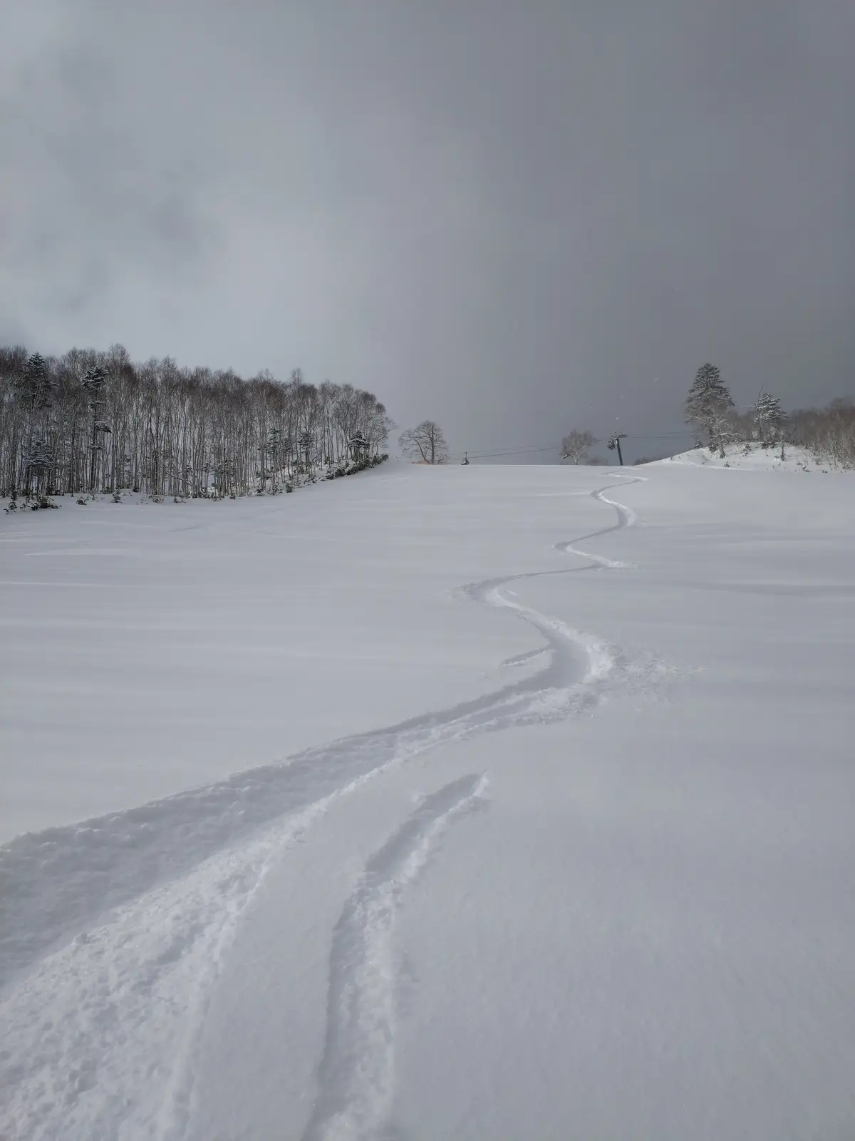 A wide, snowy ski slope under an overcast sky, with a winding, single-track trail cutting through the fresh powder. Bare…