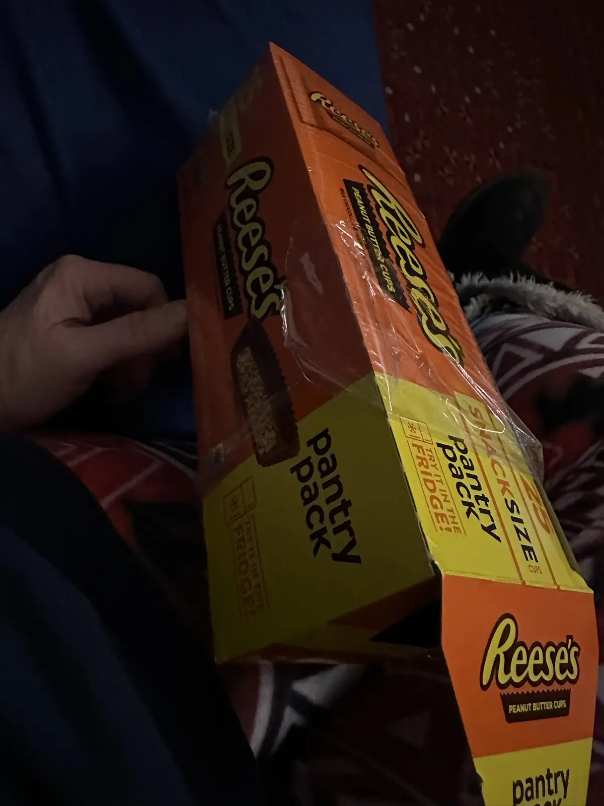 A person holds a large orange and yellow box of Reese's Peanut Butter Cups labeled 'pantry pack' and 'try it in the fridge!'…