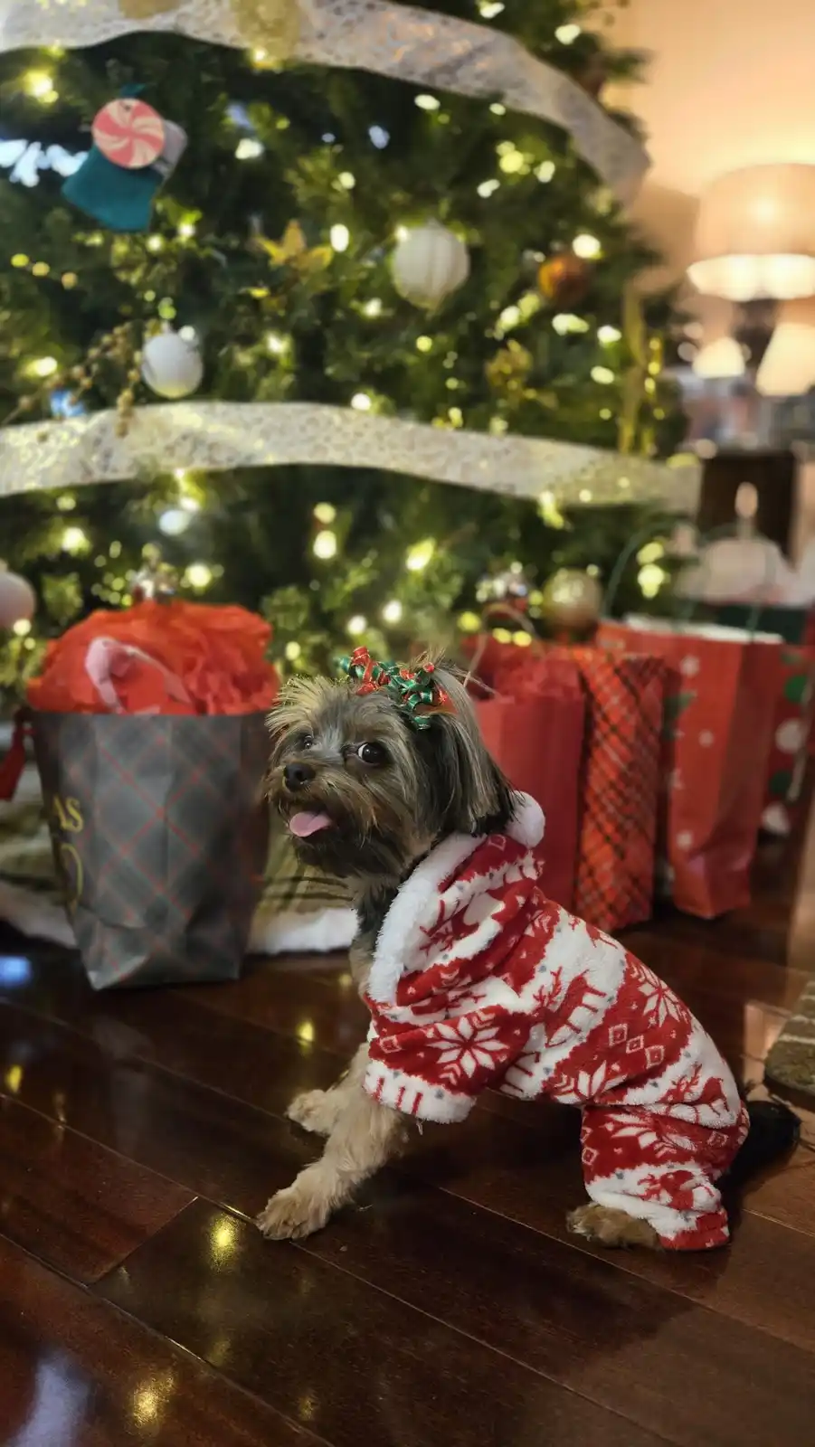Wishing You a Merry Christmas!