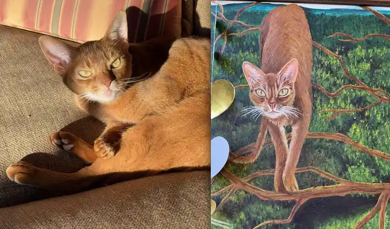 The image is a side-by-side comparison: on the left, a real ginger cat lounging on a couch with a striped pillow behind it…