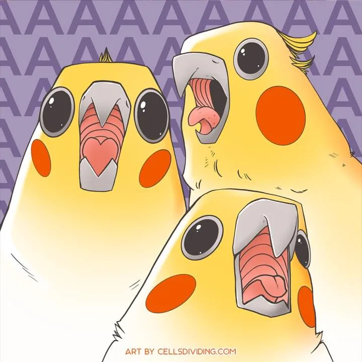 Three cartoonish yellow birds with orange cheeks and large black eyes are shown with their beaks open, revealing pink…