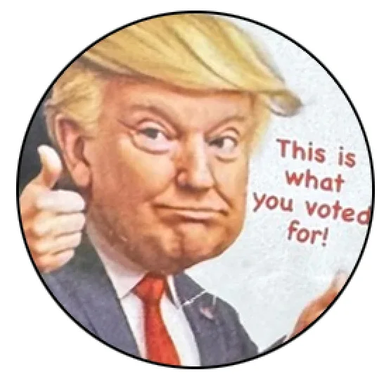 A circular image of Donald Trump giving a thumbs-up gesture, with red text overlaid that reads 'This is what you voted for!'…