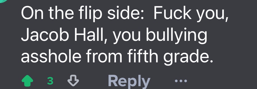 A screenshot of a dark gray Reddit comment interface showing a reply with white text that reads 'On the flip side: Fuck you…