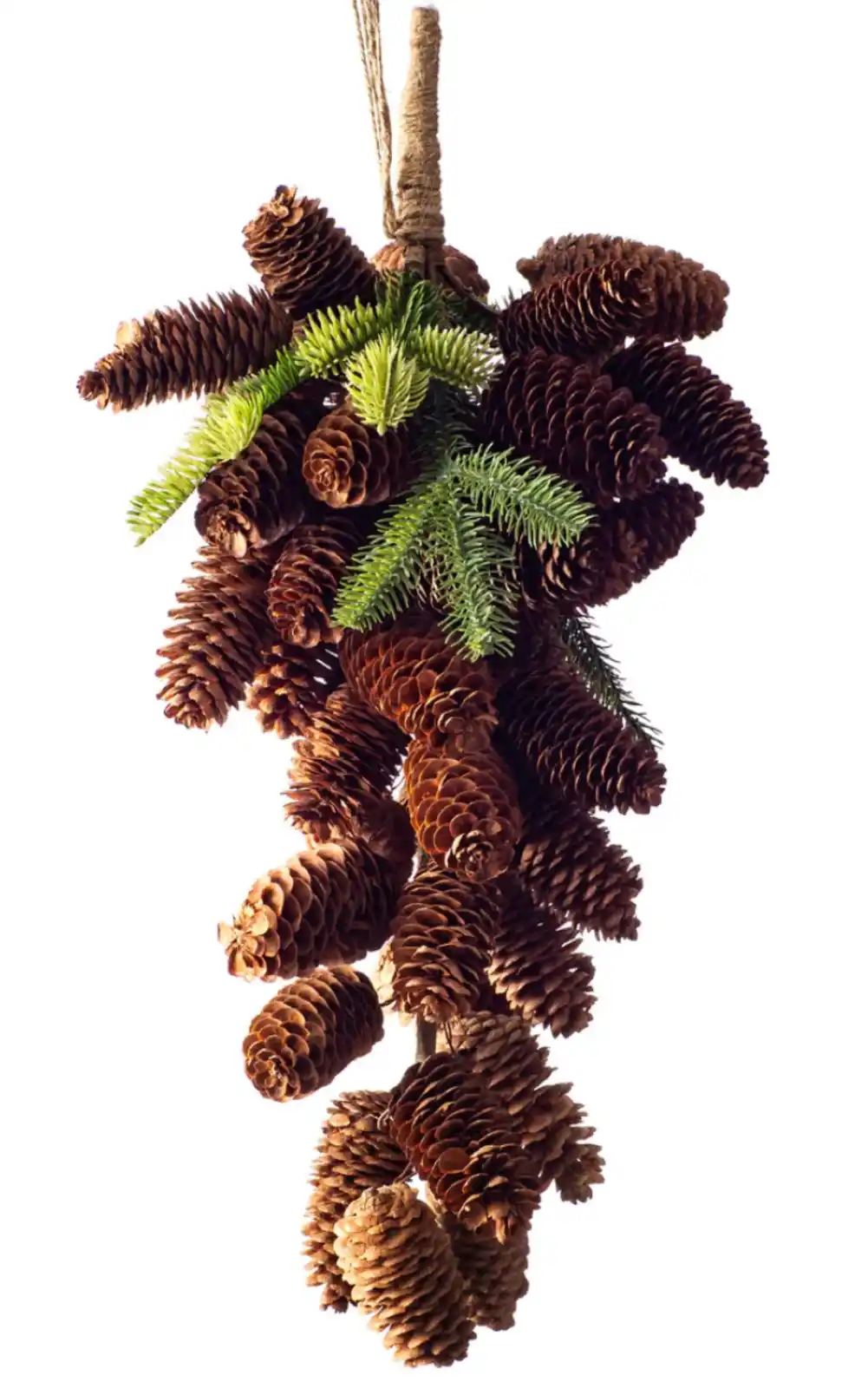 A dense cluster of brown pinecones hangs from a twine-wrapped stick against a white background, interspersed with a few…