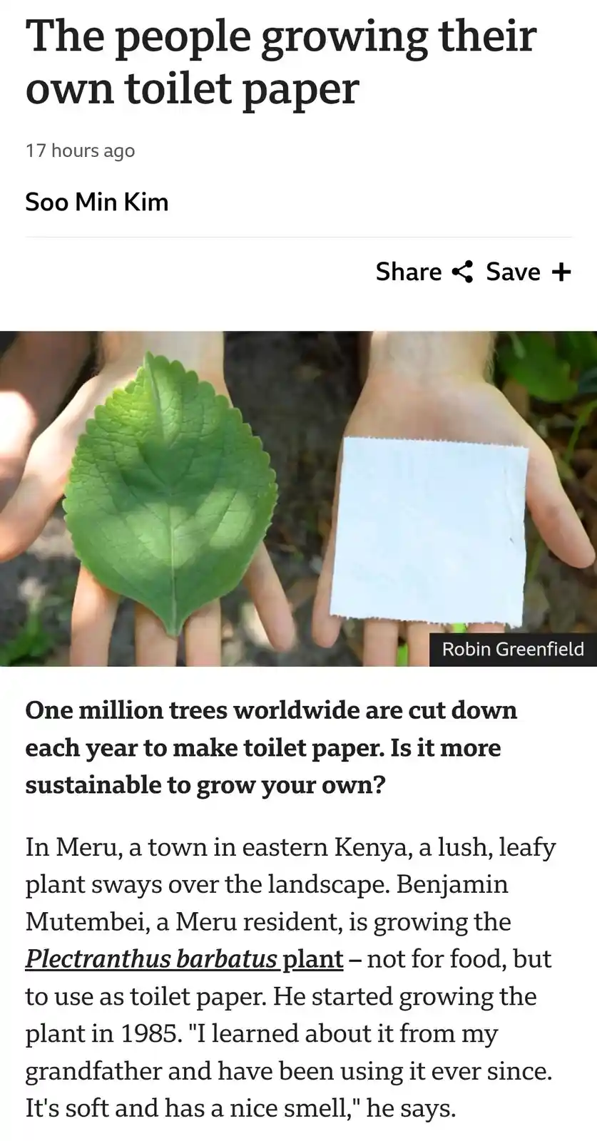 An article screenshot shows two hands side-by-side: one holding a large green leaf, the other holding a square of white…