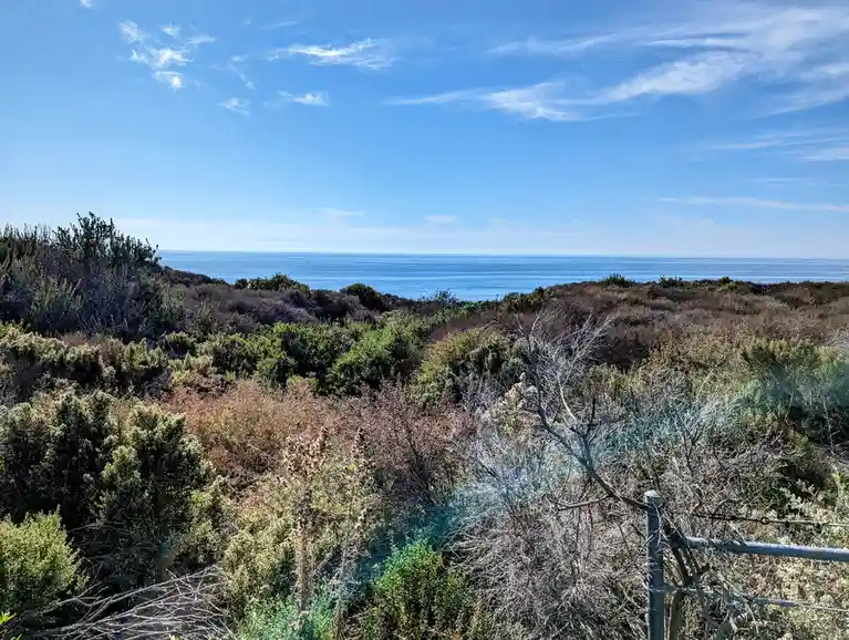Exploring the Beauty of Crystal Cove and Reef Point, California in November 2024