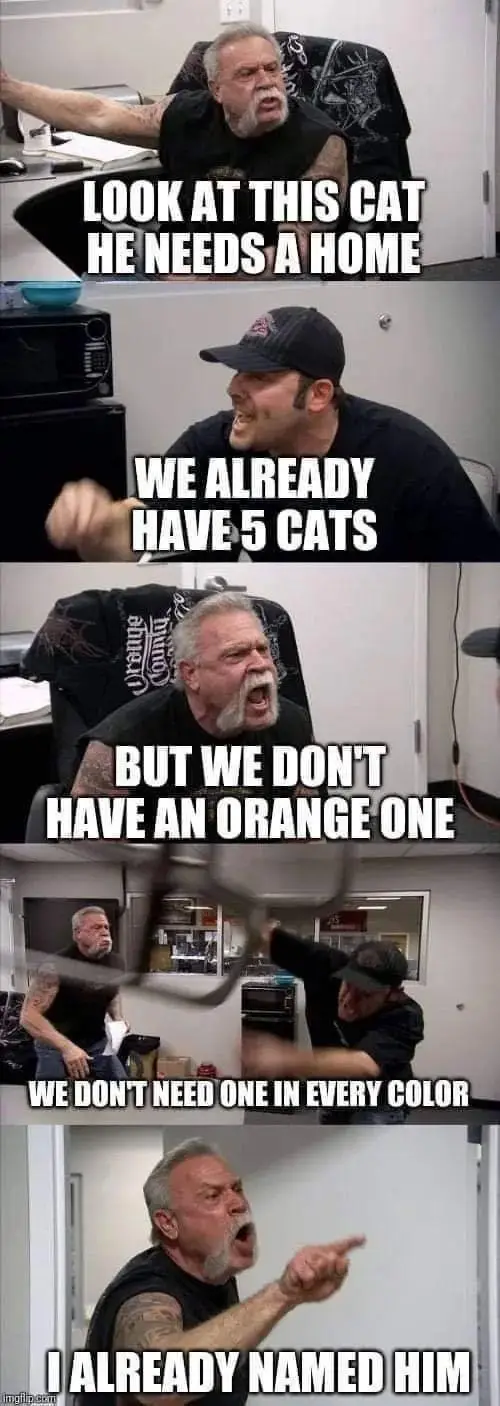A five-panel meme featuring a man with a beard and tattoos in an office setting, initially trying to convince someone to…