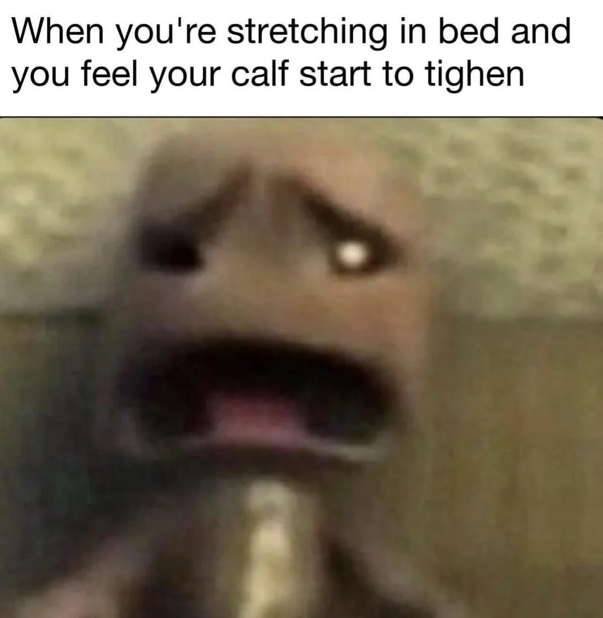 A blurry, close-up image of a small, brown, plush-like creature with wide, terrified eyes and an open mouth, conveying…