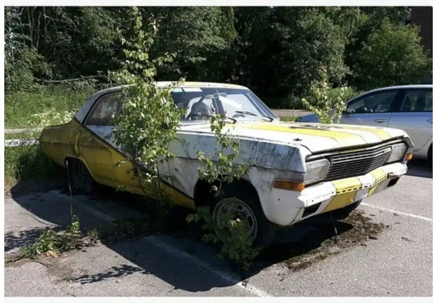 A yellow and white vintage car, visibly rusted and abandoned in a parking lot, has small green trees and bushes growing out…