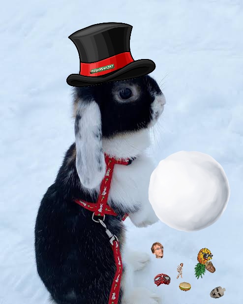As the Last Snowballs Fly, We Bid Farewell to 2024 and Greet 2025: Buckle Up for the Next Four Years!