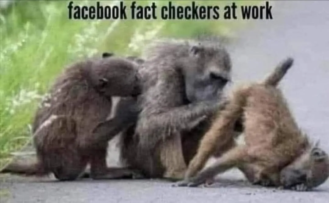 Three baboons are shown in a grassy outdoor setting; one is lying on its back while the other two are grooming it. The text…