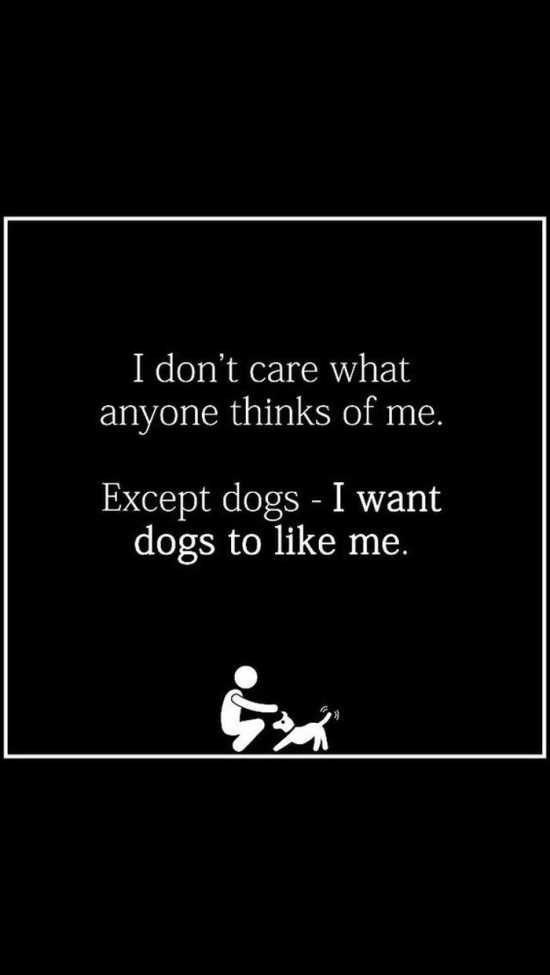 A black background with white text inside a white-bordered rectangle. The text reads 'I don't care what anyone thinks of me…