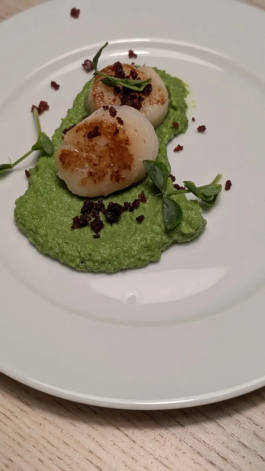 A close-up of two seared scallops resting on a bed of vibrant green pea puree, garnished with microgreens and dark crumbles…