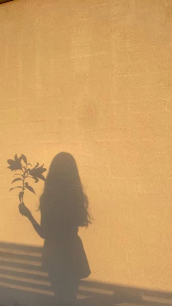 A silhouette of a person with long hair, seen from behind, holding a small plant against a warm-toned wall. The shadow is…