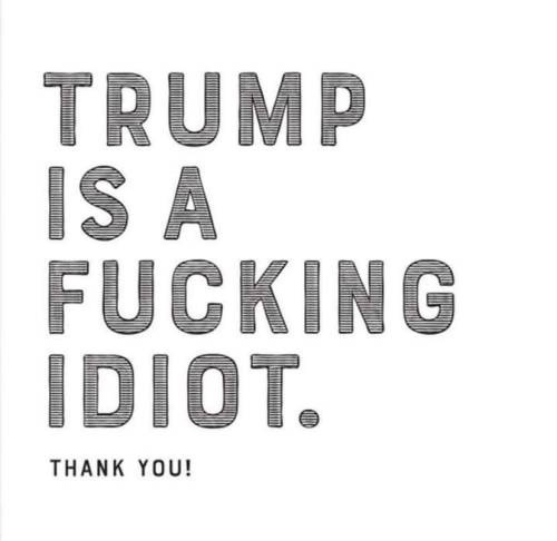 A white background image with bold, blocky, striped text that reads 'TRUMP IS A FUCKING IDIOT.' followed by 'THANK YOU!' in…