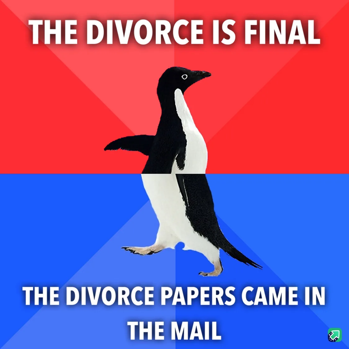 A penguin stands centered against a red and blue background split diagonally. White bold text at the top reads 'THE DIVORCE…