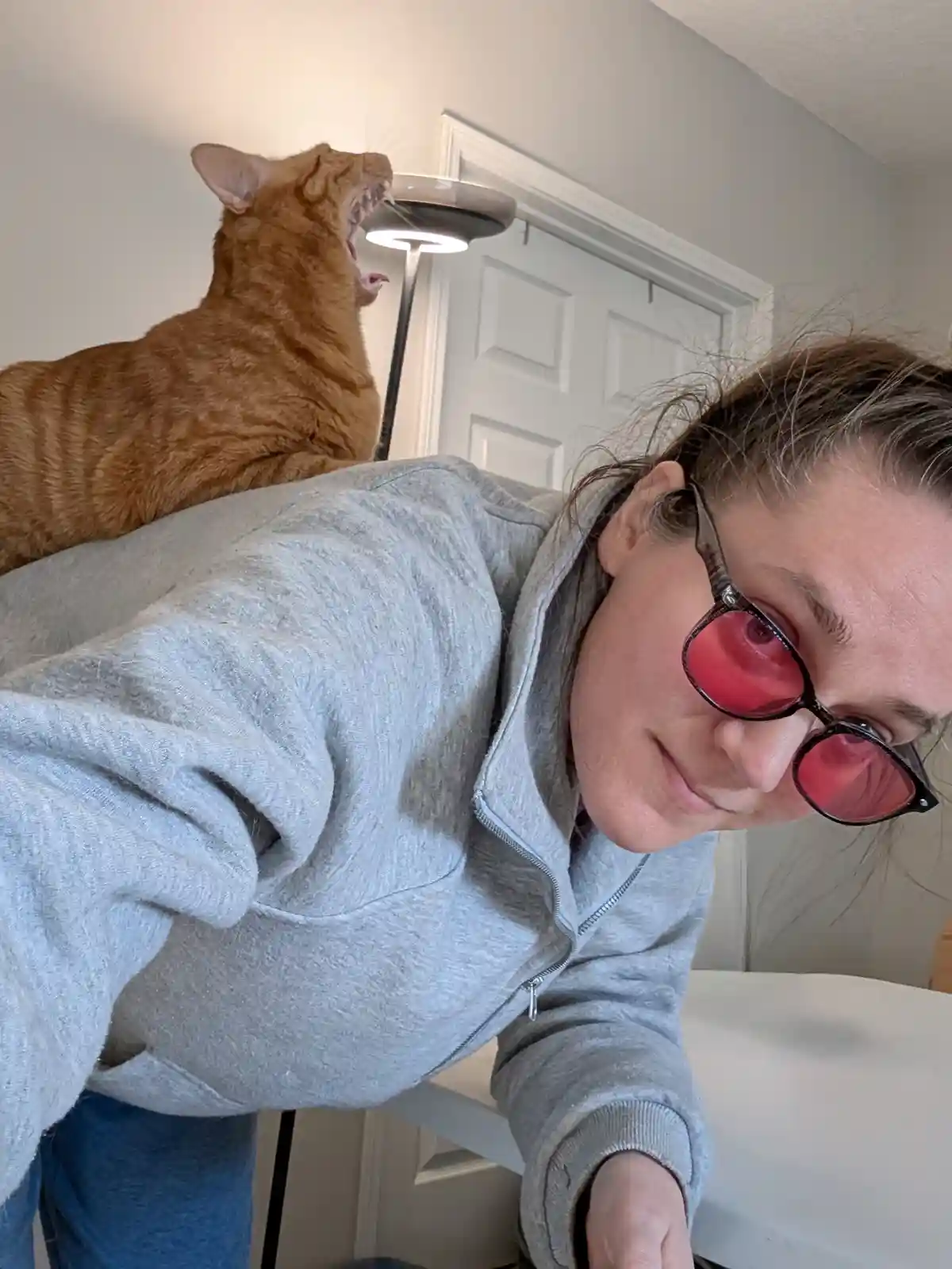 A person wearing red-lensed sunglasses and a grey hoodie leans forward while a ginger cat perched on their shoulder yawns…