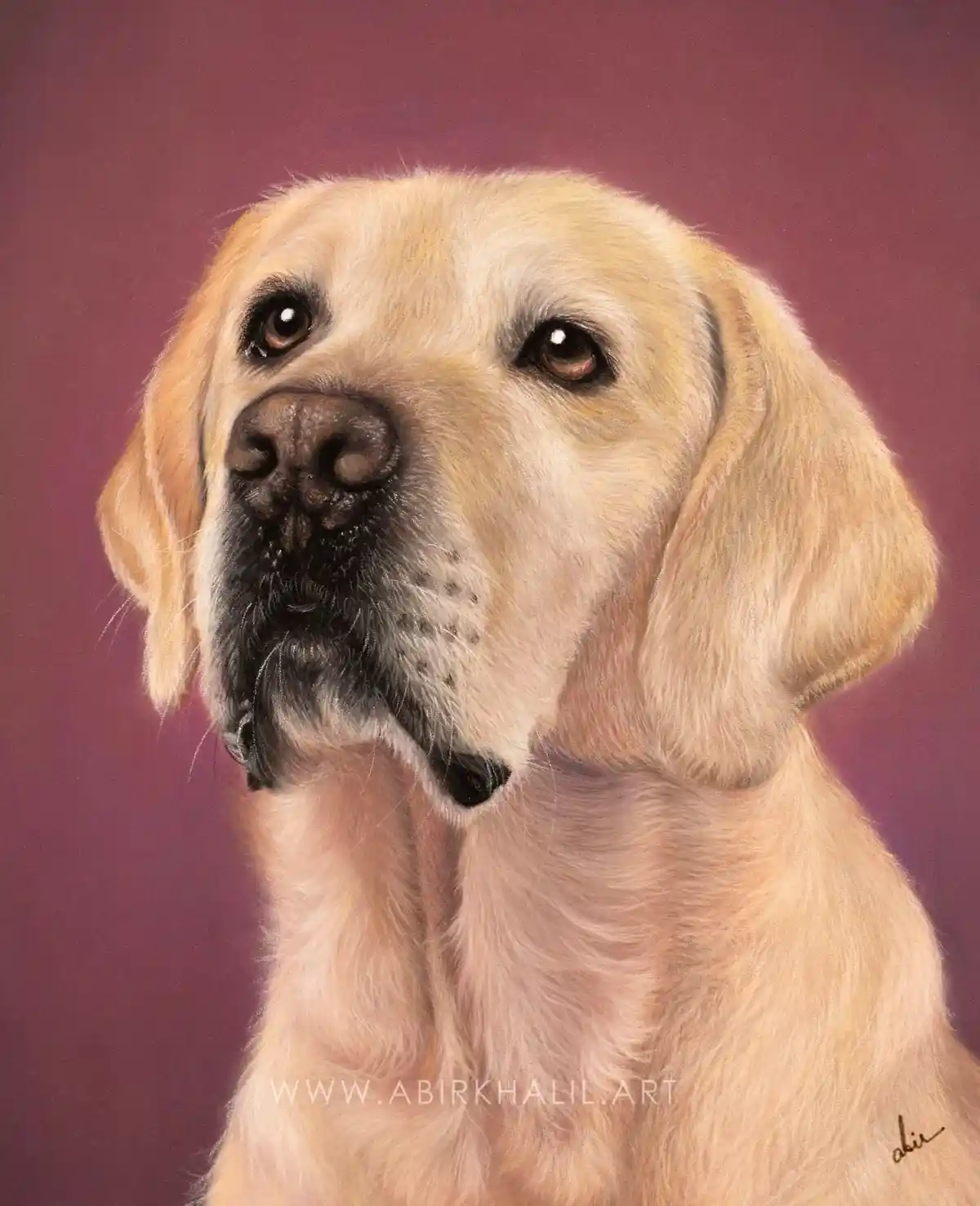 A detailed, realistic portrait painting of a yellow Labrador Retriever looking upward with a gentle, soulful expression…