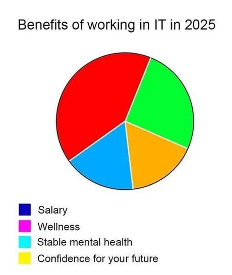 A pie chart titled 'Benefits of working in IT in 2025' shows four colored segments: red (salary), green (wellness), blue…