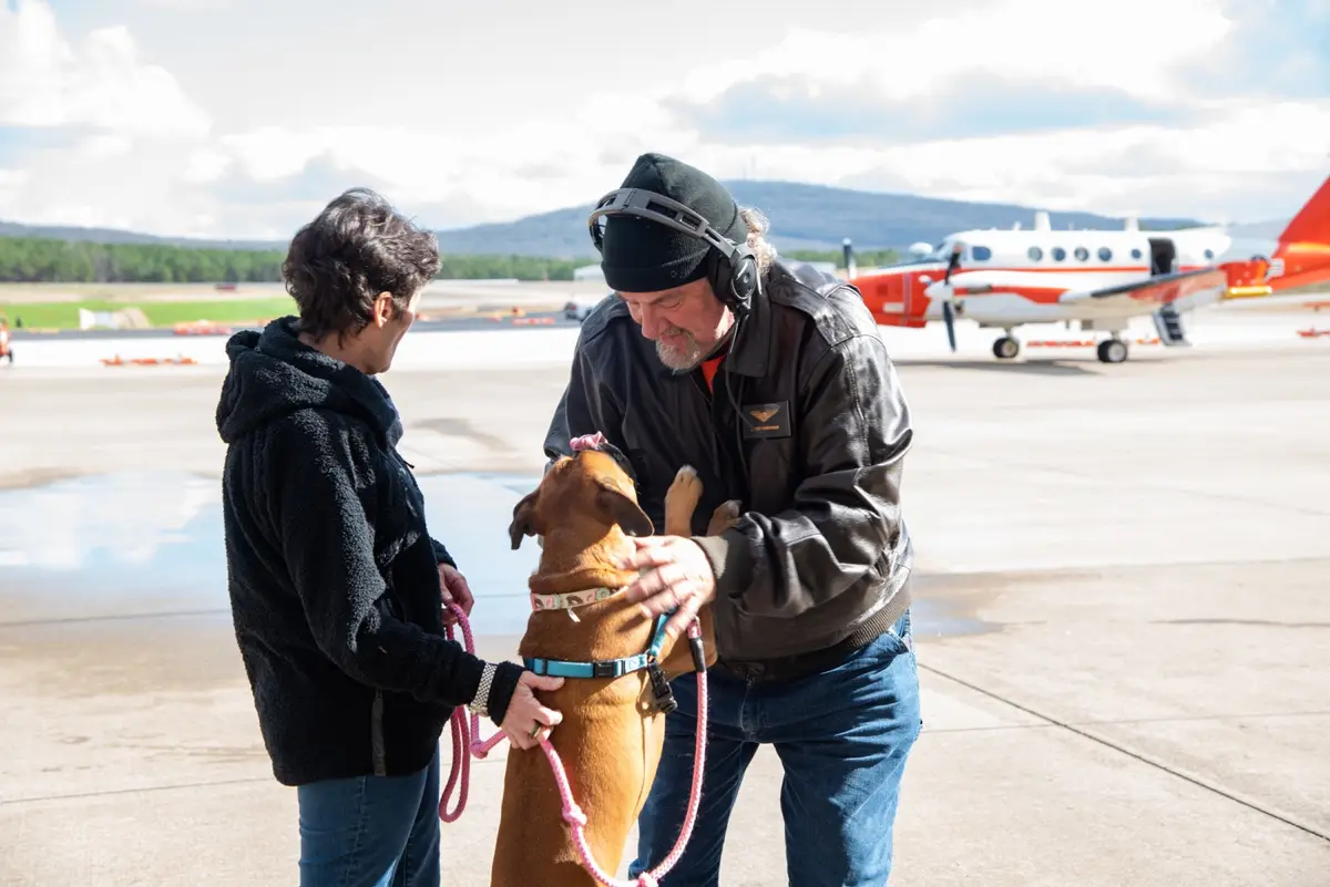 A man wearing a pilot's headset and jacket is affectionately petting a brown dog on an airport tarmac, while another person…