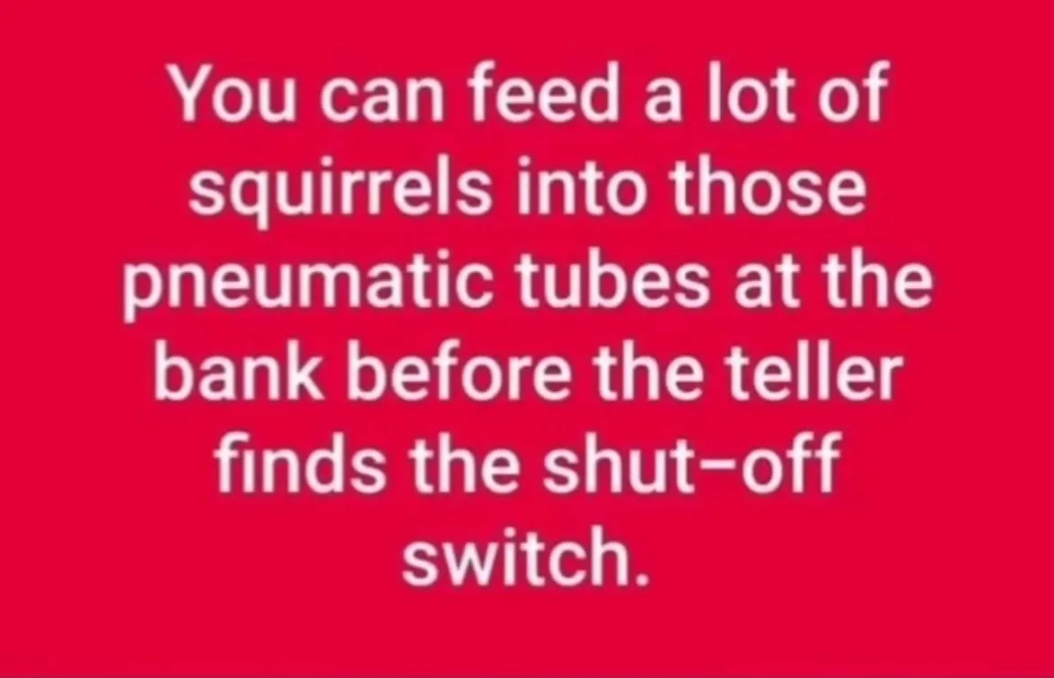 A solid red background with white text that reads: 'You can feed a lot of squirrels into those pneumatic tubes at the bank…