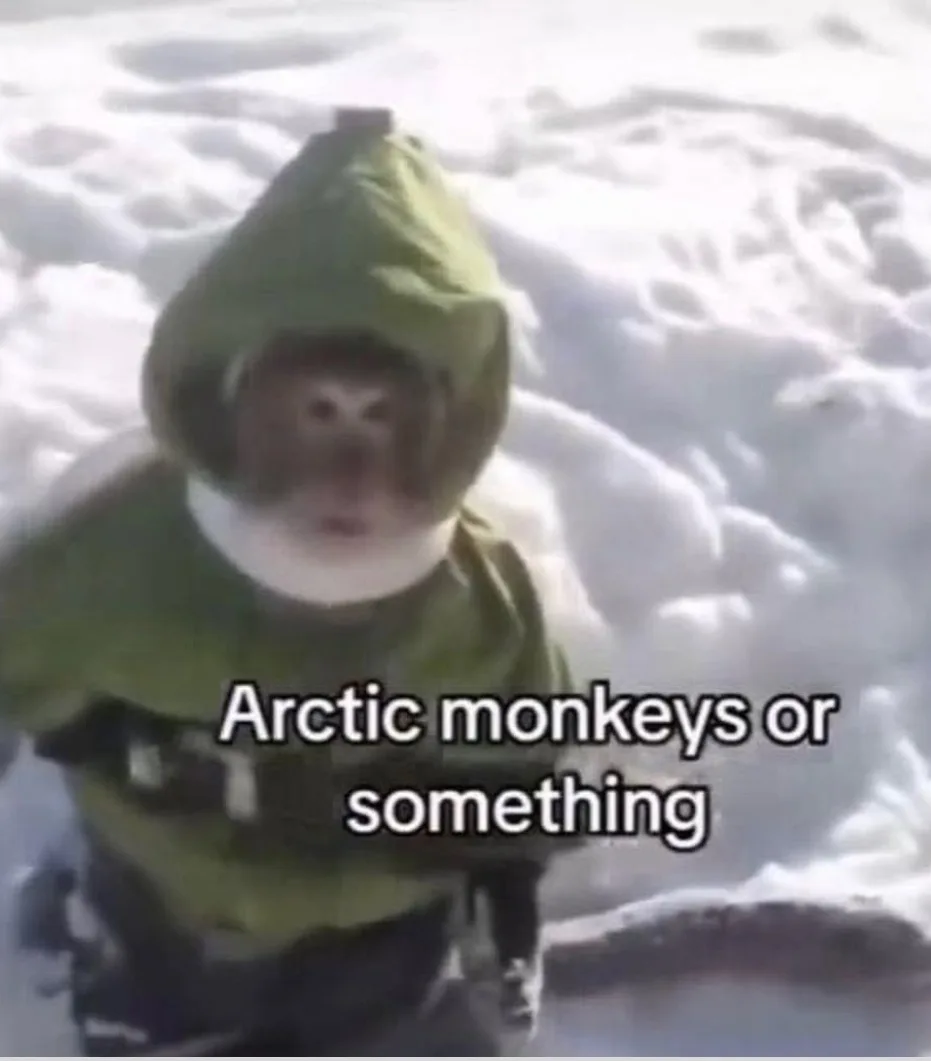 A blurry image of a monkey wearing a green hooded jacket and white collar, standing in a snowy landscape. The text overlaid…