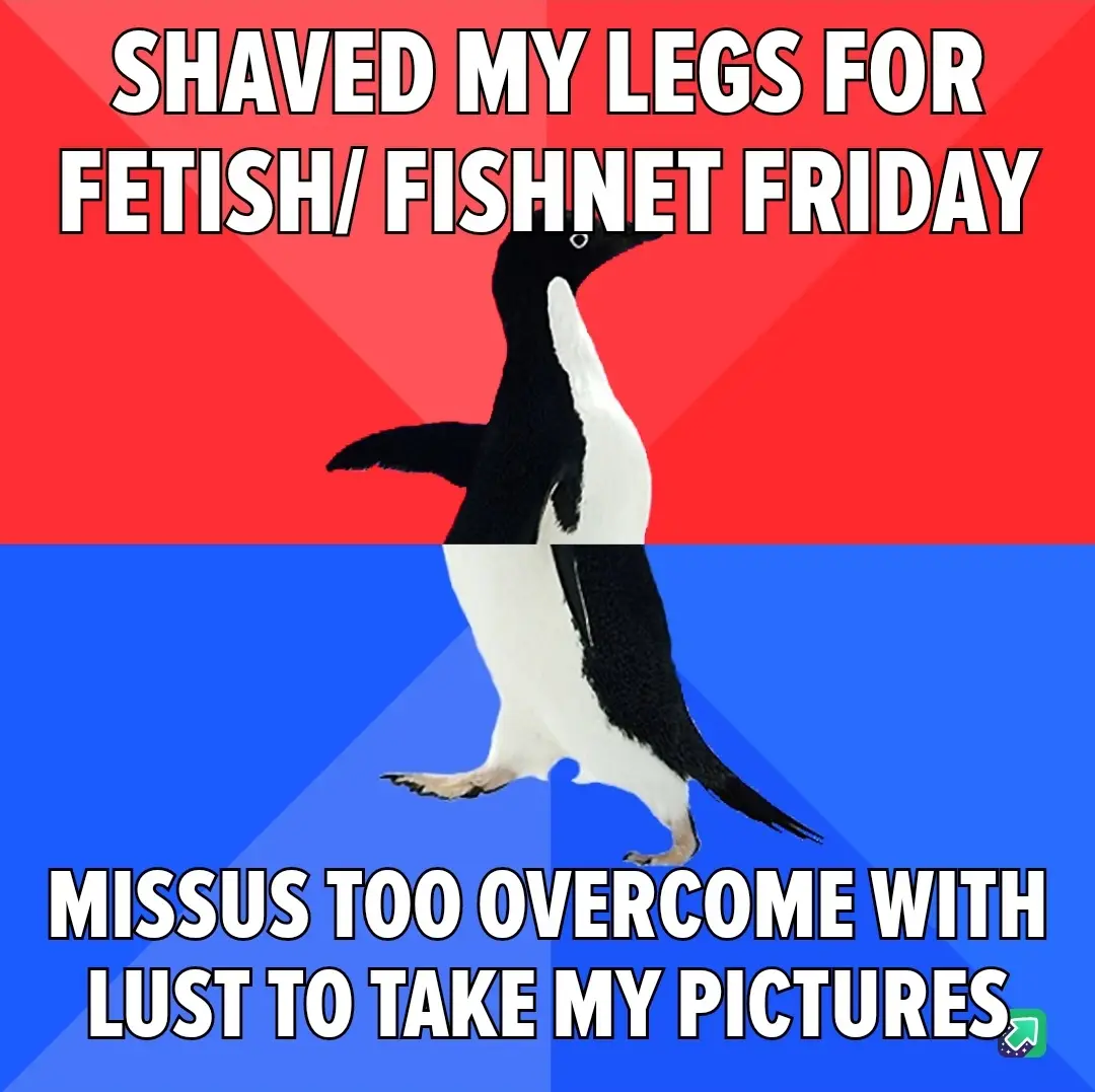 A penguin stands in a split red and blue background, with bold white text at the top reading 'SHAVED MY LEGS FOR…