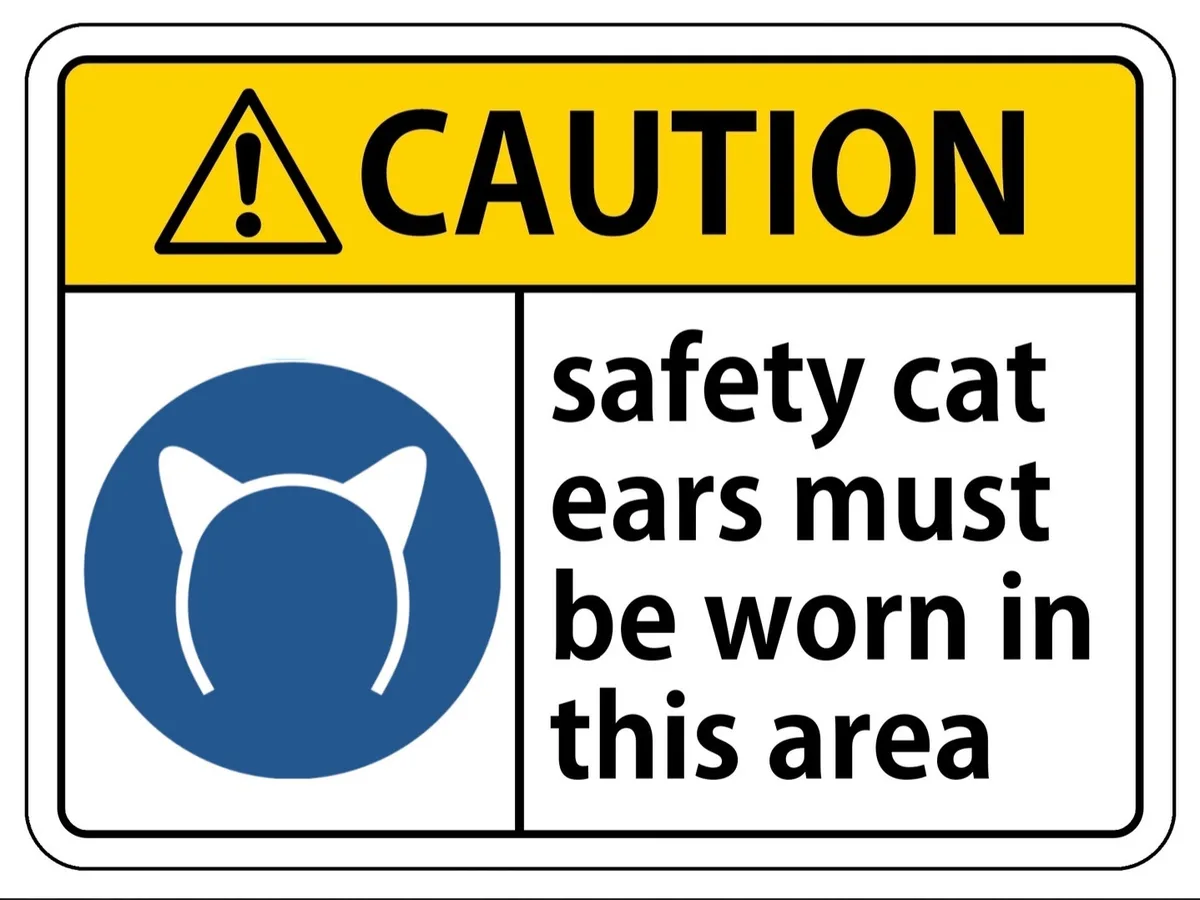 A yellow and white caution sign features a blue circle with white cat ears and text stating 'safety cat ears must be worn in…